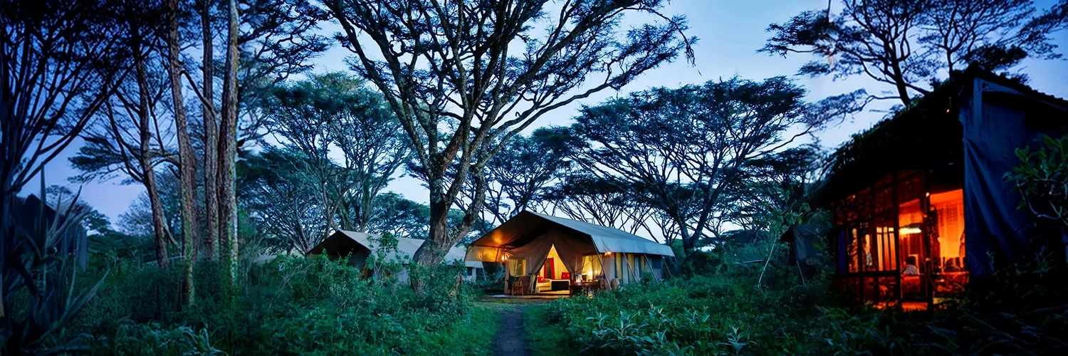 ngorongoro-banner-scaled 1.webp